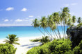 /album/fotky-barbados/barbados-jamajkanita-62-jpg/